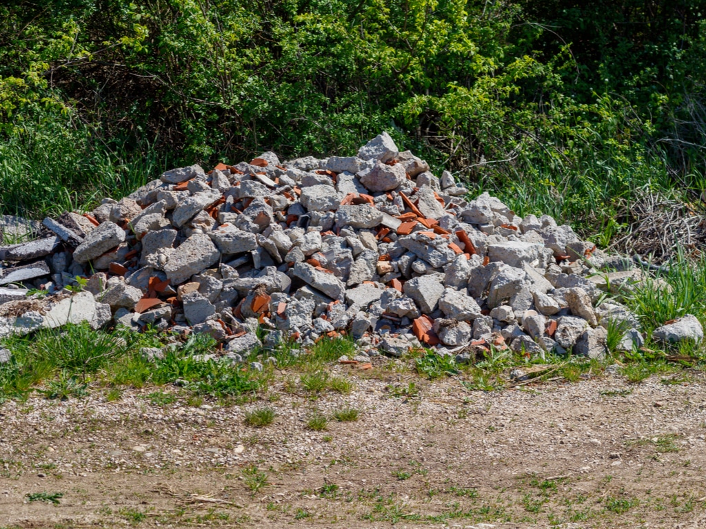 TUNISIE : une application mobile améliore la collecte des déchets de démolition:©Bojan Zivkovic/Shutterstock