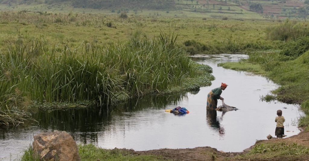 AFRIQUE : le FVC approuve 60 M$ pour 4 projets de résilience au changement climatique©giulio napolitano/Shutterstock