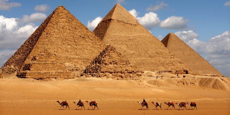 ÉGYPTE : l’État remplace les animaux par les véhicules électriques dans le tourisme©sculpies/Shutterstock