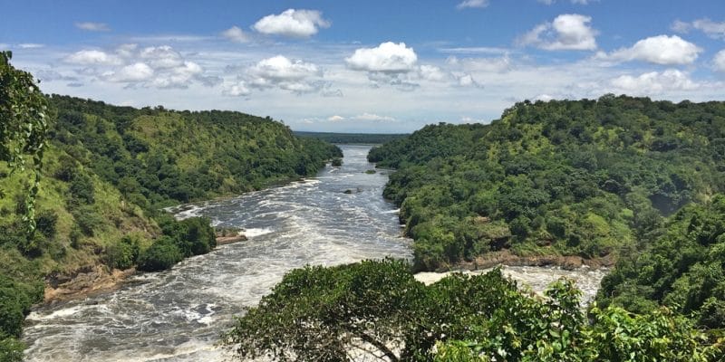 UGANDA: $3.3M to protect biodiversity in the Albertine region of the country©Donald Walker/Shutterstock