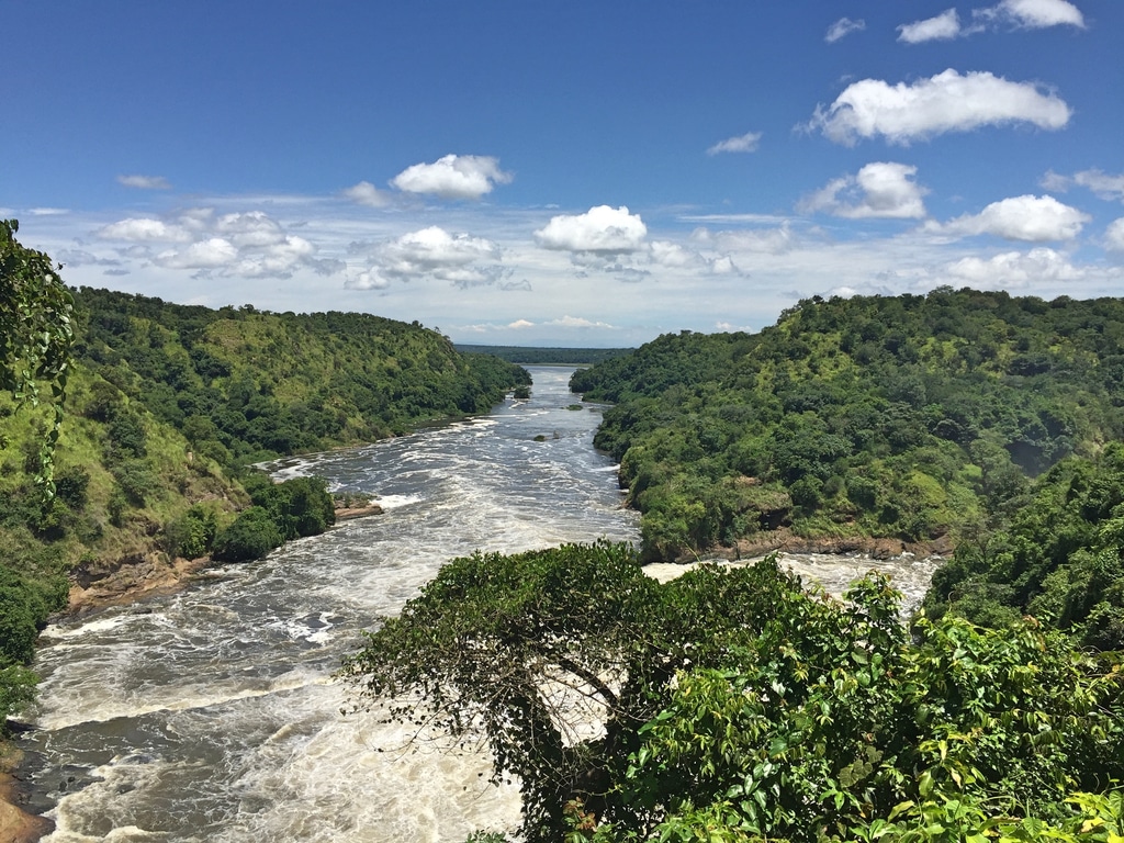 UGANDA: $3.3M to protect biodiversity in the Albertine region of the country©Donald Walker/Shutterstock