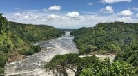 OUGANDA : 3,3 M$ pour protéger la biodiversité de la région Albertine du pays©Donald Walker/Shutterstock