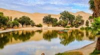 TUNISIA: WWF launches a study on the dewatering of the Sebkhet Sidi Ali lagoon TUNISIA: WWF launches a study on the dewatering of the Sebkhet Sidi Ali lagoon © Don Mammoser/Shutterstock: