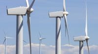 AFRIQUE DU SUD : Enel Green Power inaugure son parc éolien de Nxuba de 140 MW ©pedrosala/Shutterstock