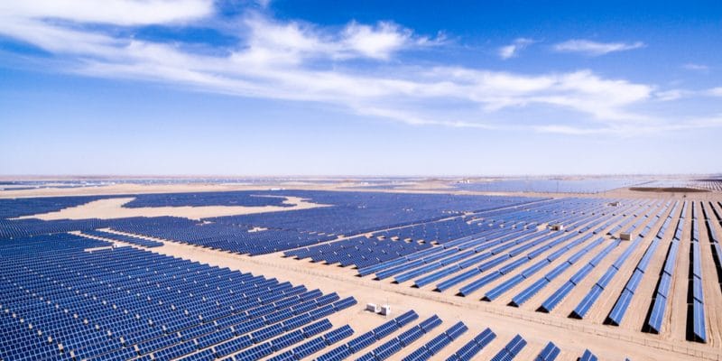 ÉGYPTE : le gouvernement honoré d’un prix pour son projet solaire de Benban (1,65 GWc)© zhangyang13576997233/Shutterstock