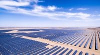 EGYPT: the government honoured with an award for its Benban solar project (1.65 GWp)© zhangyang13576997233/Shutterstock