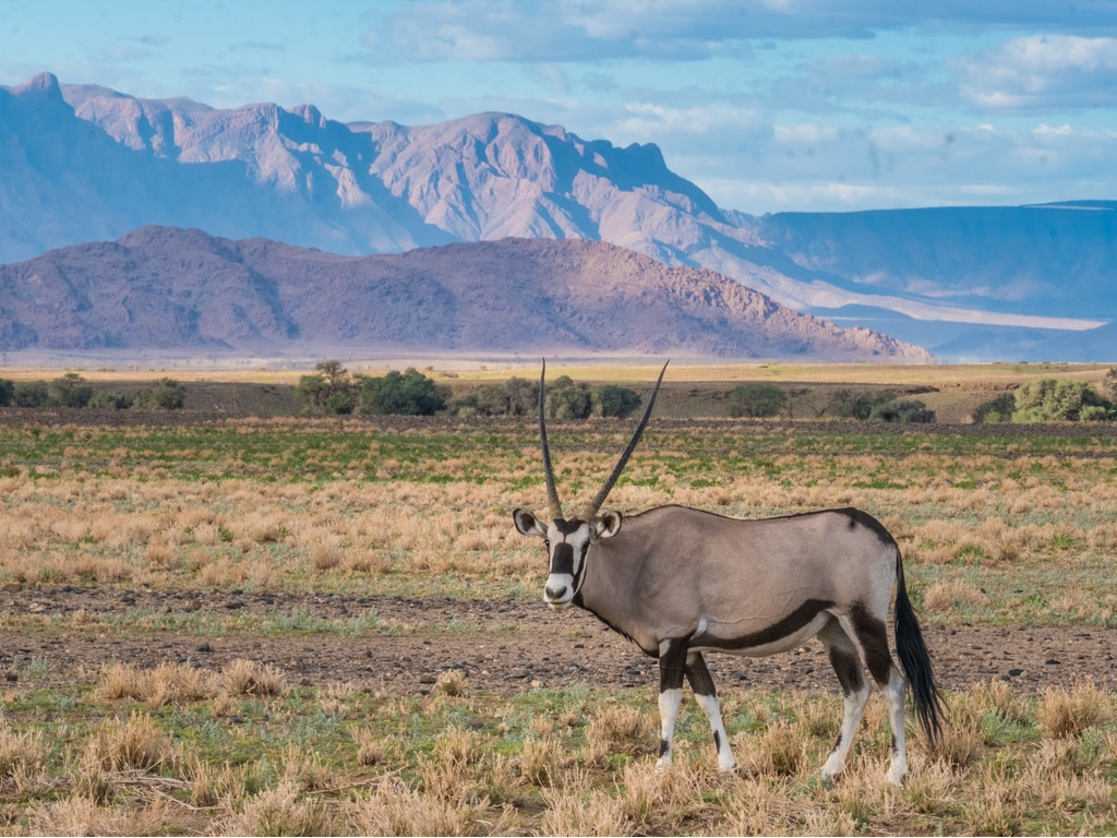 NAMIBIE : 1,4 M$ de EIF et FVC pour la résilience climatique à Keetmanshoop©LouieLea/Shutterstock