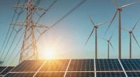 AFRIQUE : la BAD s’allie à l’Irena pour plus d’investissements dans l’énergie verte©lovelyday12/Shutterstock