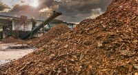 SOUTH AFRICA: Coega plant to resume production of biomass pellets©Juan Enrique del Barrio/Shutterstock