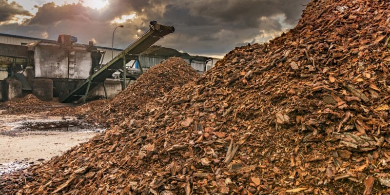 AFRIQUE DU SUD : l’usine de Coega va reprendre la production des granulés de biomasse©Juan Enrique del Barrio/Shutterstock