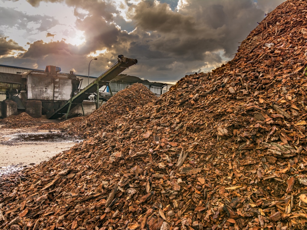 AFRIQUE DU SUD : l’usine de Coega va reprendre la production des granulés de biomasse©Juan Enrique del Barrio/Shutterstock