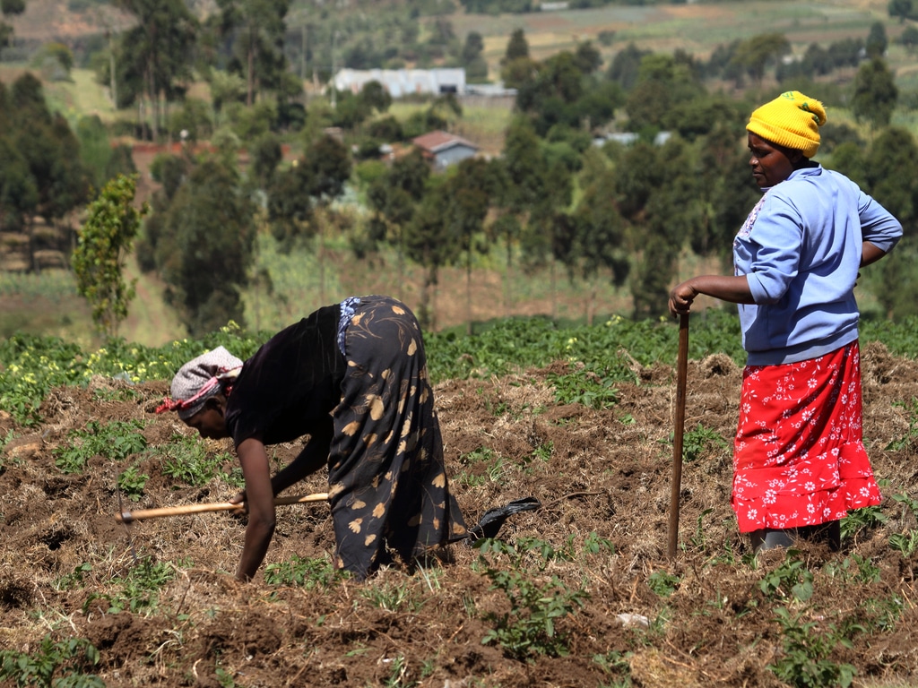 BURUNDI : 20 M$ de la BAD pour la résilience climatique des agriculteurs et éleveurs©hecke61/Shutterstock