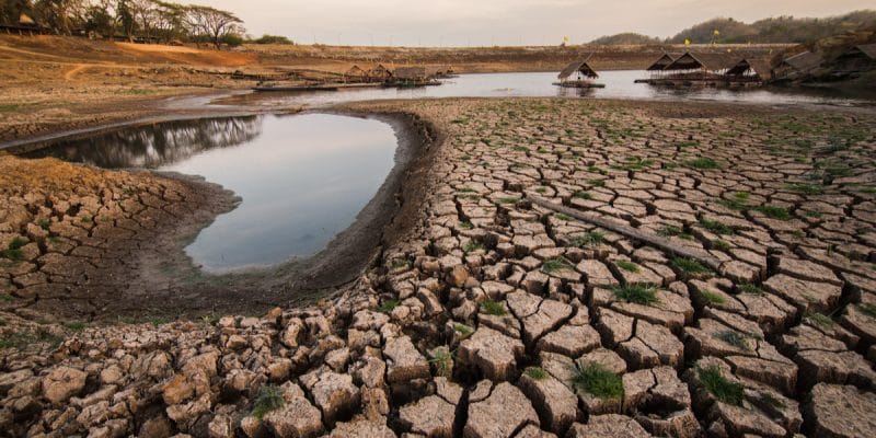 AFRIQUE DE L’EST : l’ARC propose une assurance contre les risques climatiques©yuthapong kaewboon/Shutterstock