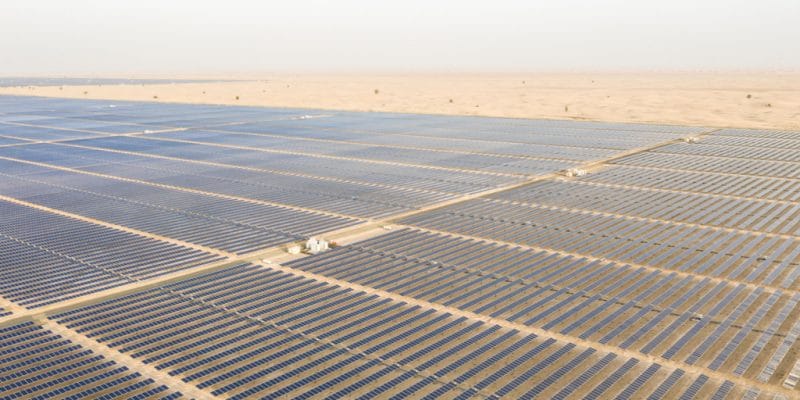 EGYPT: Kom Ombo solar park will finally be built by Sterling and Wilson©Kertu/Shutterstock