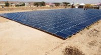 AFRIQUE : un mécanisme de 50 M$ pour les fournisseurs d’énergies vertes (Covid-19)©Sebastian Noethlichs/Shutterstock