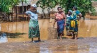 CONGO: EU allocates nearly €20m to fight floods and waste©Vadim Petrakov/Shutterstock eau