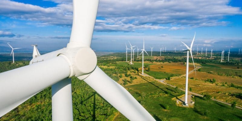 AFRIQUE DU SUD : BioTherm connecte son parc éolien Golden Valley (120 MW) au réseau©Blue Planet Studio/Shutterstock