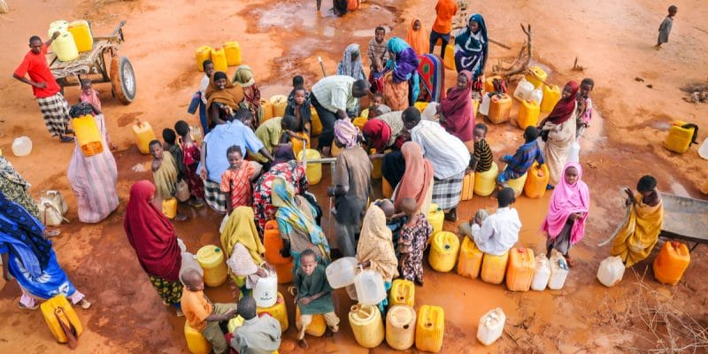 AFRIQUE DU NORD : les disponibilités en eau douce ont chuté de 30 % selon la FAO© hikrcn/Shutterstock