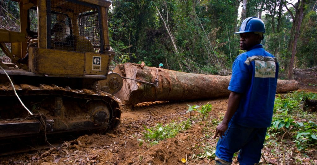 CONGO BASIN: Pulitzer Center launches a network of forest surveyors ©TOWANDA1961/Shutterstock
