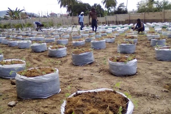 GHANA : Farmers Hope va valoriser les déchets de cacao à Kumasi©Farmers Hope