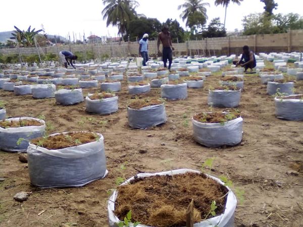 GHANA : Farmers Hope va valoriser les déchets de cacao à Kumasi©Farmers Hope