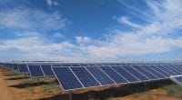 AFRIQUE DU SUD : la centrale solaire PV de De Wildt (50 MWc) entre en service©Reatile Group