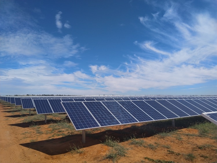 AFRIQUE DU SUD : la centrale solaire PV de De Wildt (50 MWc) entre en service©Reatile Group