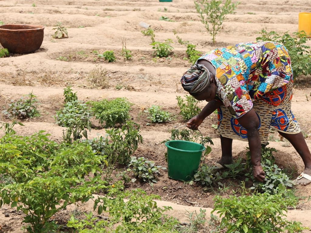 SENEGAL: the FAR project for women's resilience to climate change©BOULENGER Xavier/Shutterstock