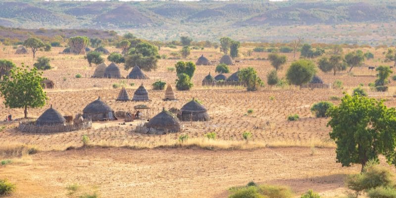 AFRIQUE : la Banque mondiale promet 5 Md $ pour la Grande muraille verte en 5 ans©mbrand85/Shutterstock
