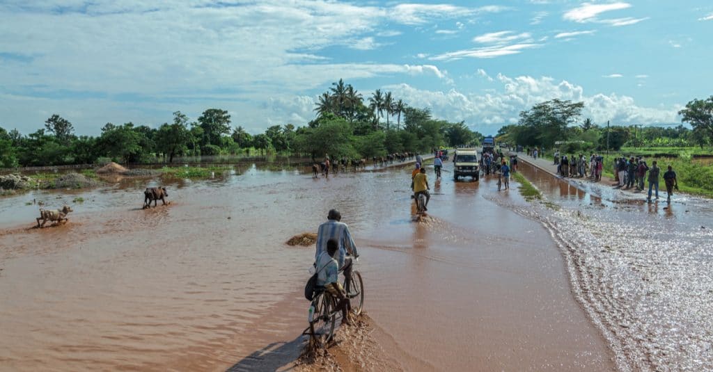 MOZAMBIQUE : le cyclone Éloise menace la biodiversité et la sécurité alimentaire©Vadim Petrakov/Shutterstock