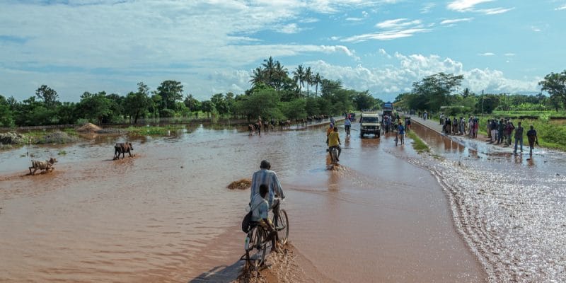 MOZAMBIQUE : le cyclone Éloise menace la biodiversité et la sécurité alimentaire©Vadim Petrakov/Shutterstock