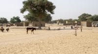 AFRICA: AfDB to mobilize US$25 billion for climate change adaptation©Torsten Pursche/Shutterstock