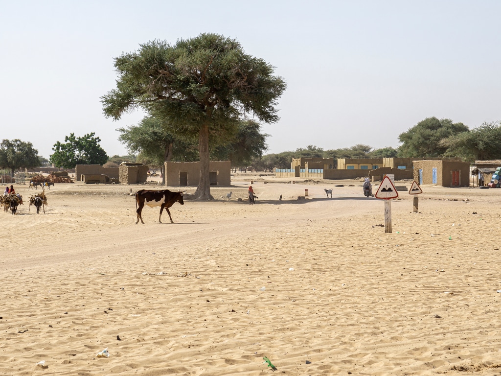 AFRICA: AfDB to mobilize US$25 billion for climate change adaptation©Torsten Pursche/Shutterstock