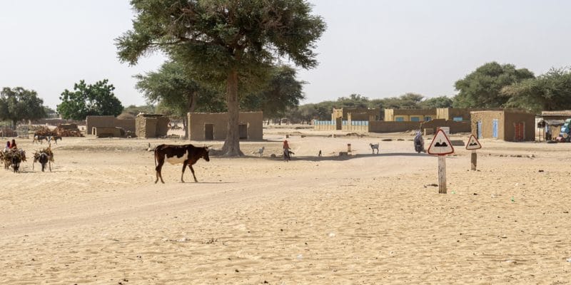 AFRIQUE : la BAD va mobiliser 25 Md $ pour l’adaptation au changement climatique©Torsten Pursche/Shutterstock
