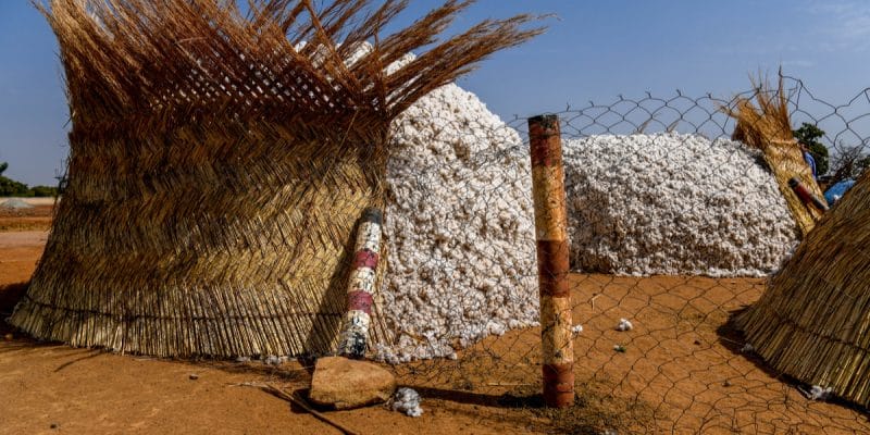 AFRIQUE : les vêtements en coton bio « CmiA » arrivent dans les magasins Lidl Suisse©Alexander BEE/Shutterstock