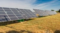 SENEGAL: ASER launches a call for tenders for 133 solar mini grids in rural areas©pisaphotography/Shutterstock
