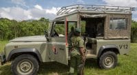 RDC : le meurtre de 6 rangers relance la question sur la sécurité dans les Virunga©LMspencer/Shutterstock
