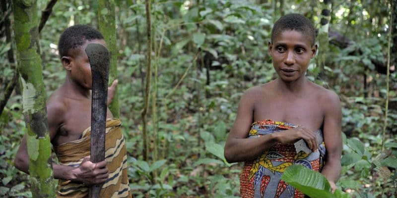 AFRIQUE : Survival International dénonce la « colonisation verte »©Sergey Uryadnikov/Shutterstock