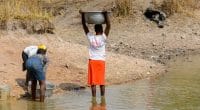 BASSIN DU CONGO : le changement climatique menace la biodiversité