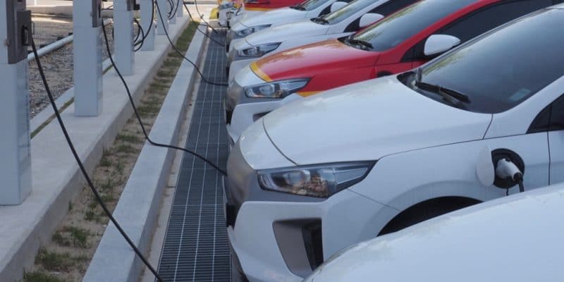 ZIMBABWE : DPA va installer 17 bornes de recharge de voitures électriques©sungsu han/Shutterstock