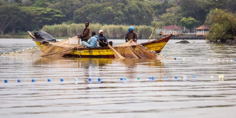 EAST AFRICA: Towards sustainable use of Lake Victoria's resources©Jen Watson/Shutterstock