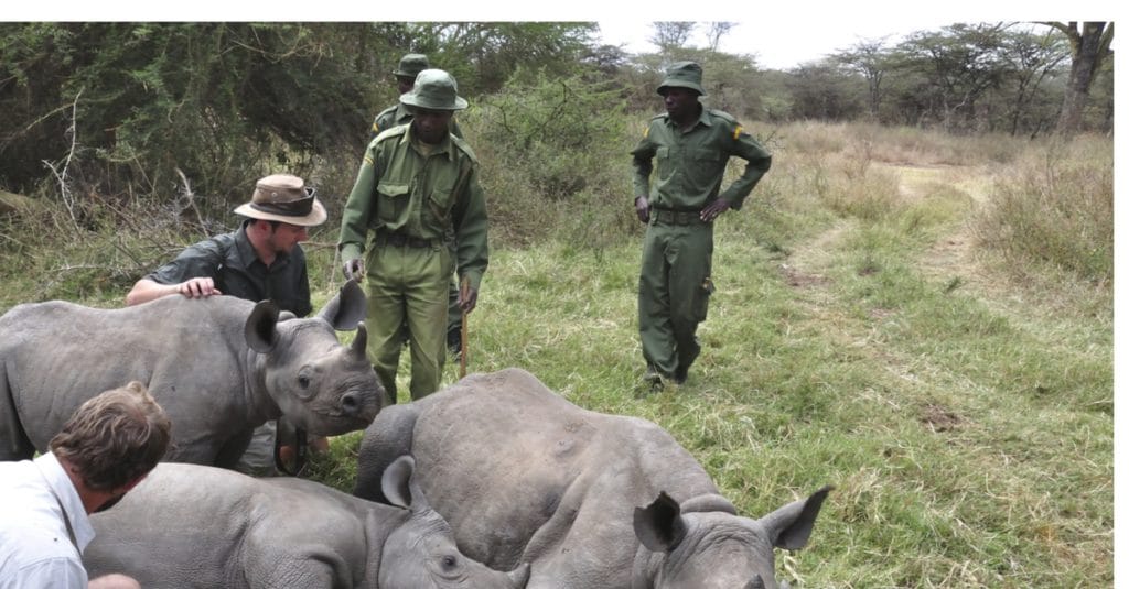 AFRIQUE DU SUD : WWF soutient le gouvernement dans la lutte contre le braconnage©Marcel Brekelmans/Shutterstock
