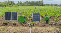 BURKINA FASO: Buy-Us Solar launches solar-powered irrigation project©Buy-Us Solar