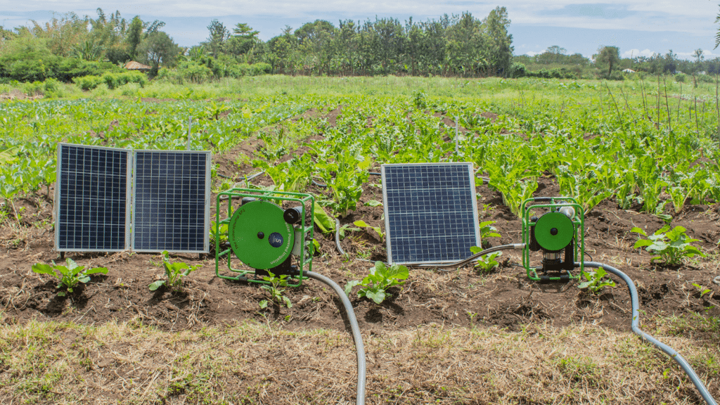 BURKINA FASO: Buy-Us Solar launches solar-powered irrigation project©Buy-Us Solar
