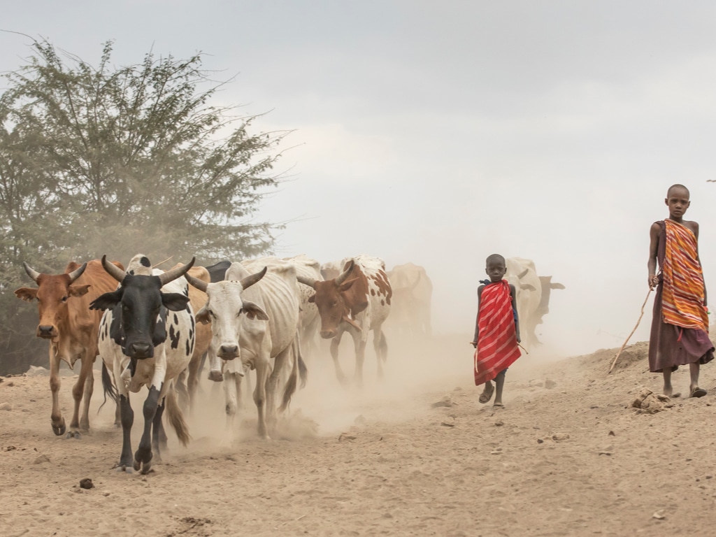 KENYA : confronté à la sécheresse, l’État va restaurer des terres dans 11 comtés© Katiekk/Shutterstock
