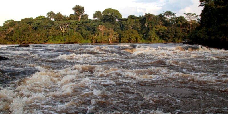 BASSIN DU CONGO : l’AFD et le FFEM financent l’adaptation au changement climatique© Nick Greaves/Shutterstock