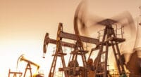 SOUTHERN SUDAN: an environmental audit of oil sites is announced ©ded pixto /Shutterstock