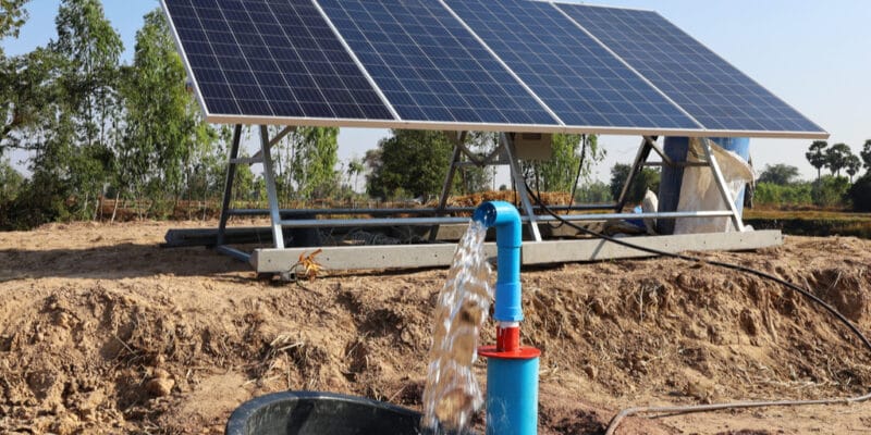 AFRICA: SunCulture obtains $11 million for its solar-powered irrigation systems© kaninw/Shutterstock