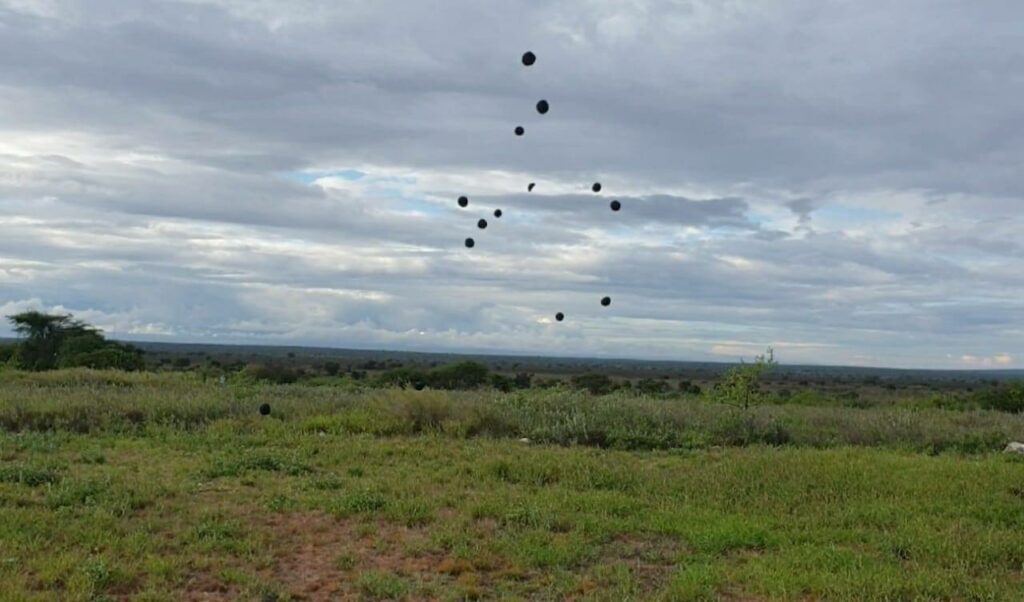 KENYA: Seedballs offers "seed bombs" for reforestation of the land ©SeedballsKenya/Shutterstock