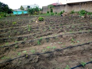 AFRIQUE : GreenNKool et AgroPad primées par l’EPAEM pour leurs solutions écologiques©AgroPad 
